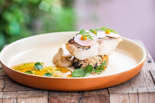 Pescado na brasa, purê de couve flor, farofa de camarão aviú, laranja, molho velouté de cenouras e manjericão - AE! Cozinha Pescado na brasa, purê de couve flor, farofa de camarão aviú, laranja, molho velouté de cenouras e manjericão - AE! Cozinha