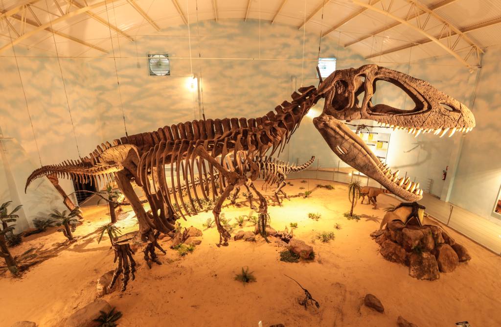 São Paulo recebe o maior museu de história natural da América Latina