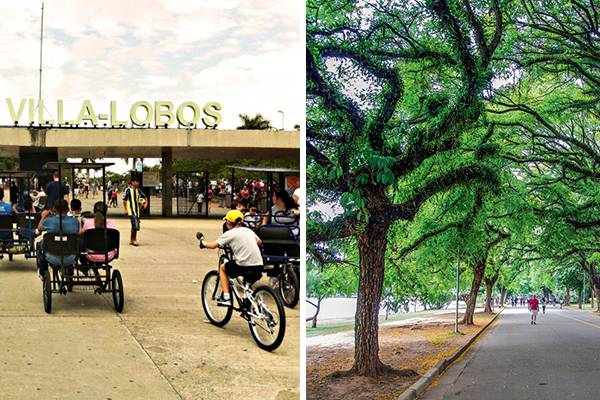 Vigilância Sanitária autua Ibirapuera e Villa-Lobos por descumprimento de regras sanitárias