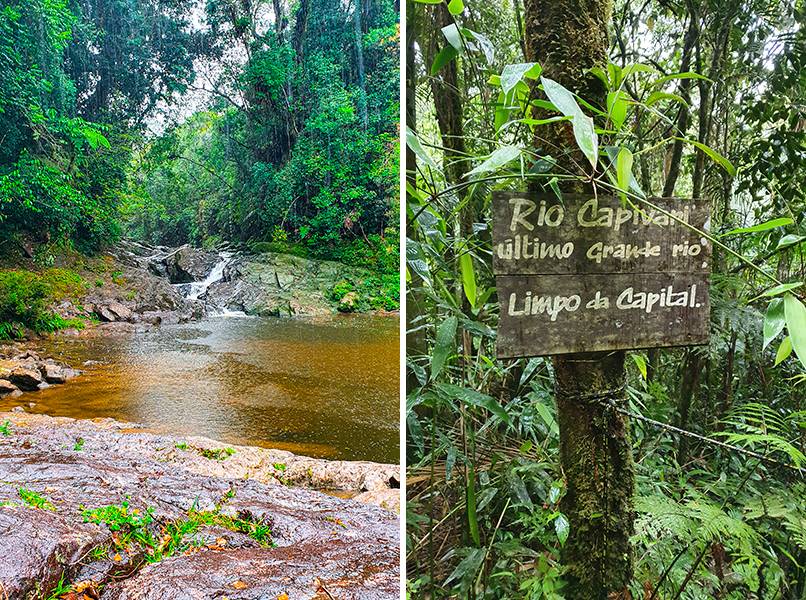 Selva paulistana: conheça o passeio por uma cachoeira da Zona Sul