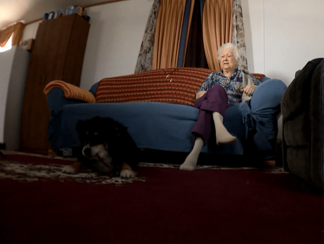 cachorrinha+dono Lulu e sua cuidadora Martha Burton: cachorrinha de herança milionária