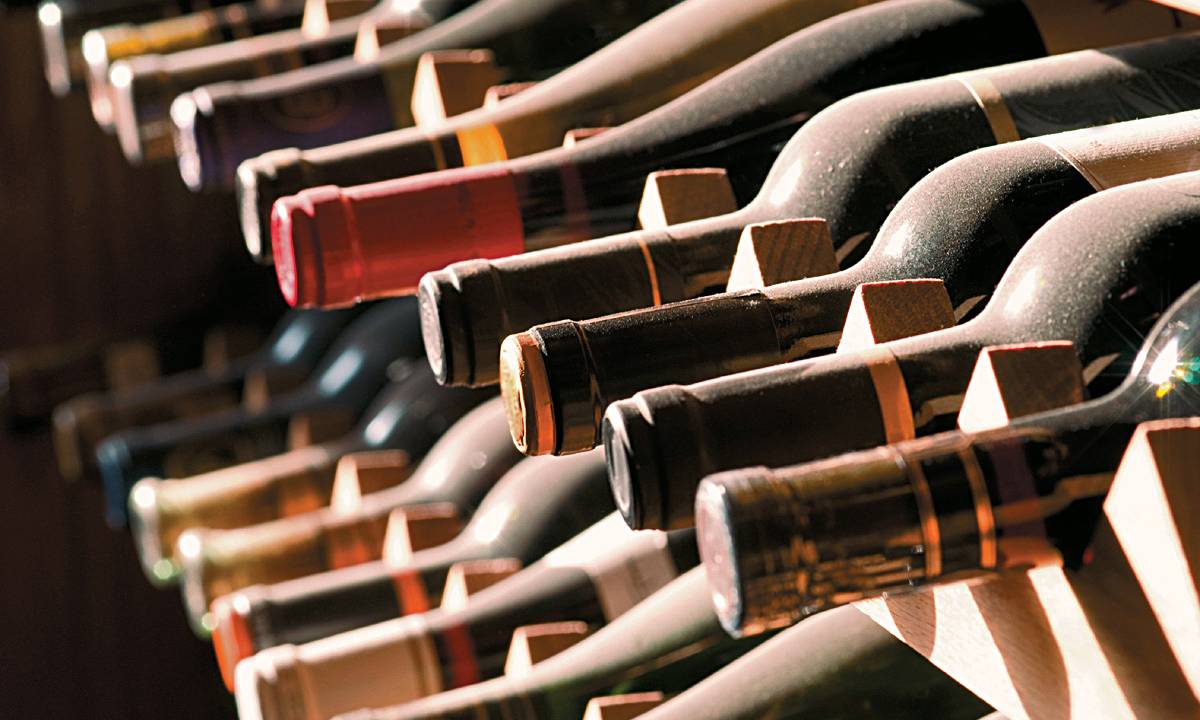 Adega de vinhos: variedades nos rótulos