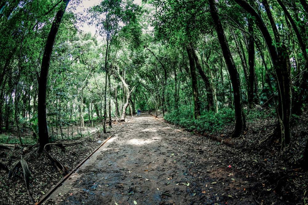 Prefeitura promete entregar Parque Augusta em outubro