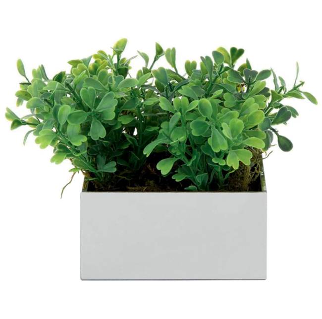 planta2.png Arranjo buxo artificial. Tok&Stok.