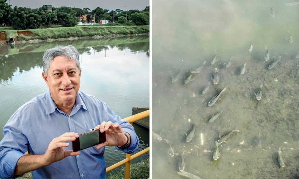 Itamar Rodrigues Tilapia rio pinheiros À esquerda, Itamar posa para a foto segurando um celular na horizontal e ao fundo está o Rio Pinheiros. À direita, a foto de Itamar com as tilápias no Rio Pinheiros, nadando na água.