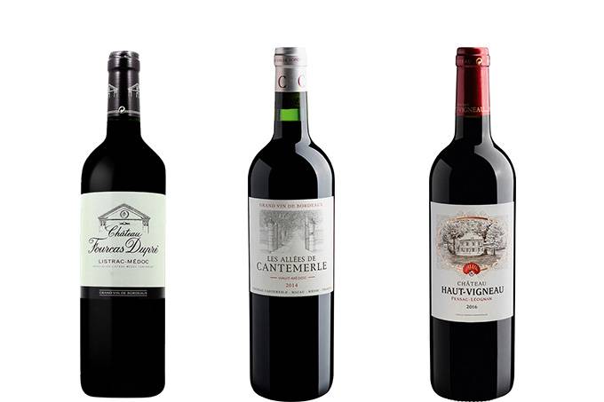 Saiba por que a região de Bordeaux é tão importante no mundo do vinho