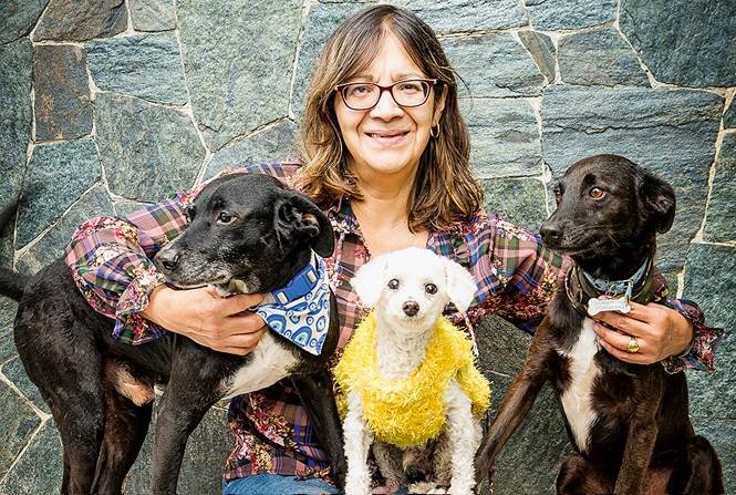 Protetoras contam como começaram a resgatar animais das ruas