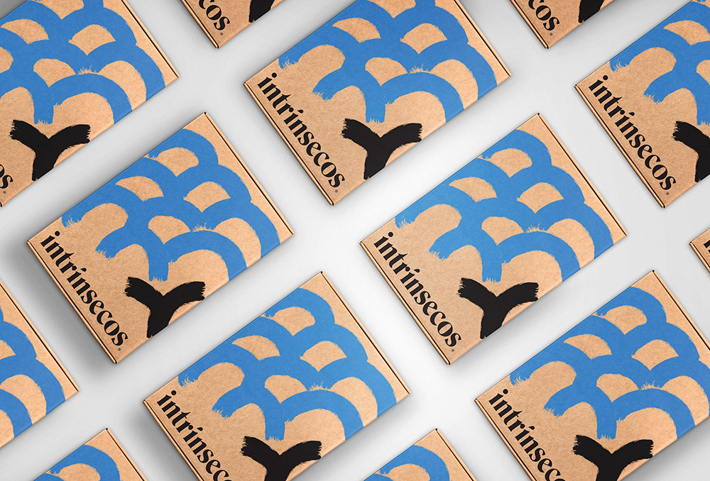 clubes-de-assinaturas-intrínsecos.jpg Pacote da Intrínsecos. clube de livros da editora Intrínsecos. Foto exibe vários pacotes alinhados com ilustração abstrata azul e preta.