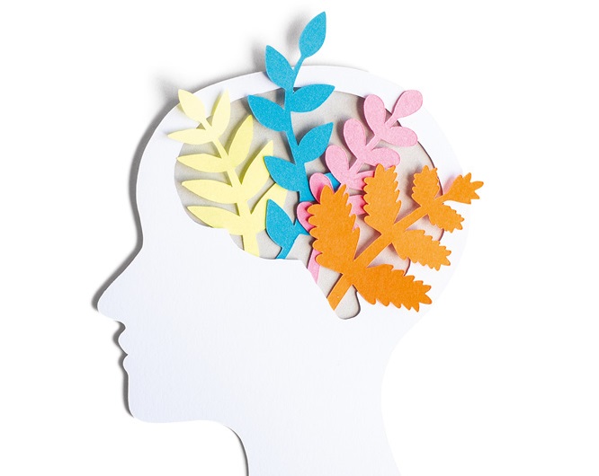 “Sorte a minha que pude renascer”