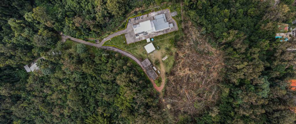 instituto butantan Imagem aérea mostra região coberta de mata, com edificação ao centro e, ao lado, área com árvores caídas no chão