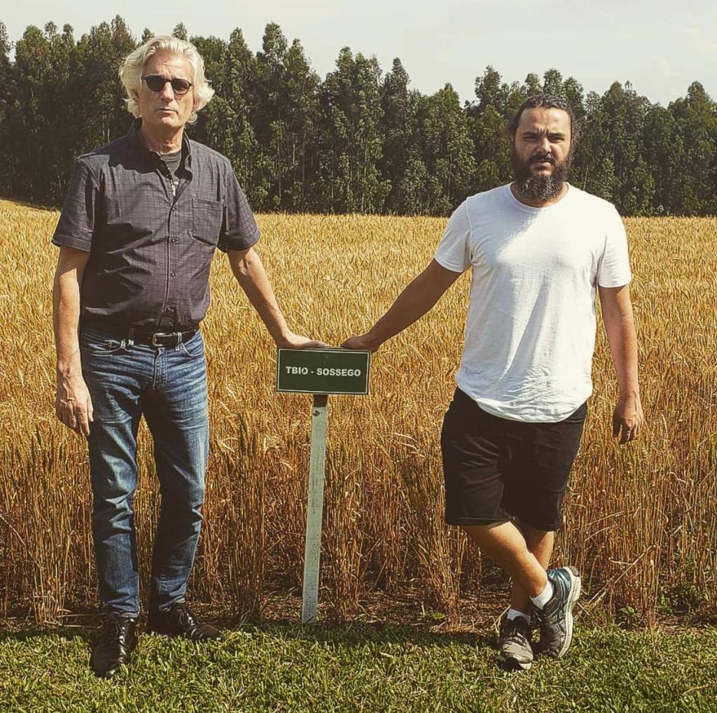 Michel_Suas_e_Eduardo_Freire_Feliz Do lado esquerdo, o padeiro norte- americano Michel Suas e com o também padeiro Eduardo Freire Feliz em frente a um campo de trigo