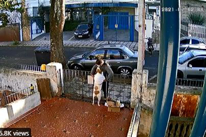 Homem rouba roupa de cadela no interior paulista