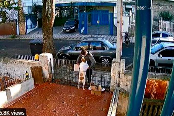 Homem rouba roupa de cadela no interior paulista