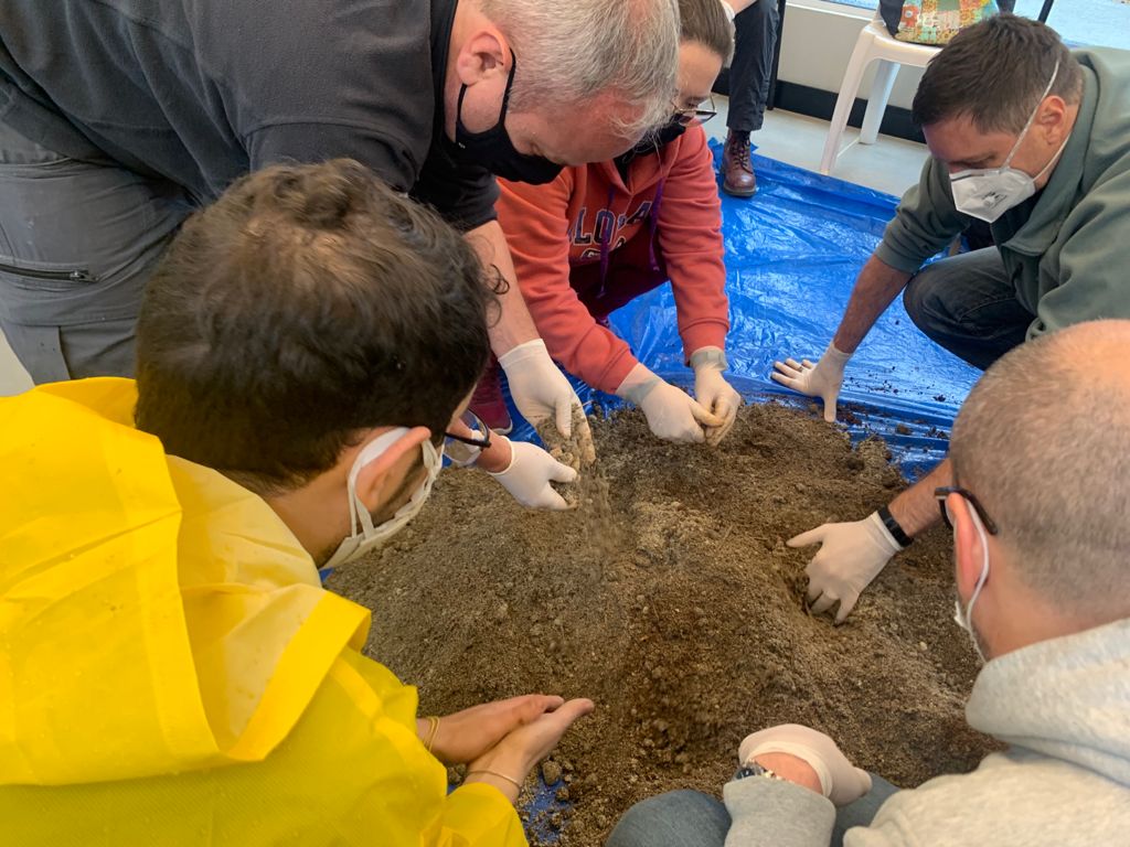 Centro de São Paulo ganha horta coletiva criada por moradores da região