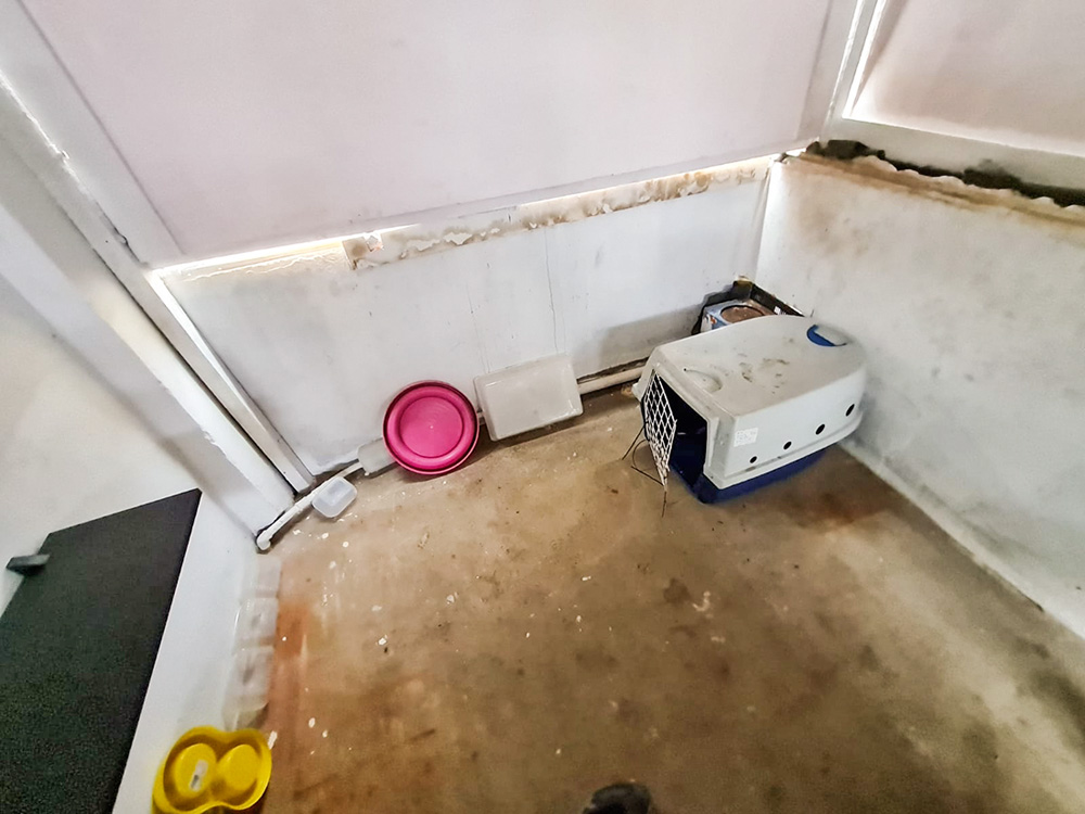 gatil-dedetizadora-loremi-saga-gatos-sabesp-ongs espaço interno do gatil da Loremi, visto de cima. há uma gaiola vazia no canto e alguns poucos potes virados e encostados nas paredes