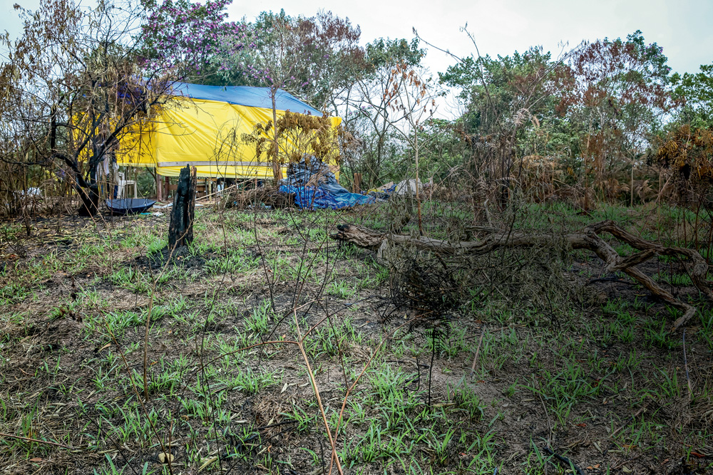 JDAPURA_13.JPG No Parque dos Búfalos, algumas árvores e galhos secos e, no fundo, uma tenda amarela