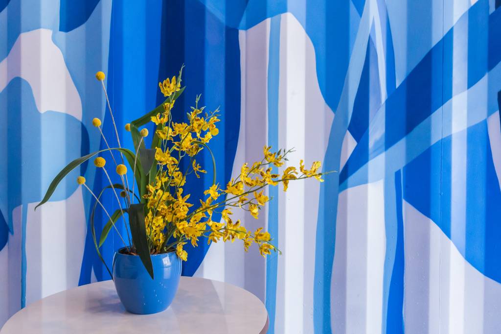 quinto andar conteineres largo da batata Imagem mostra vaso de plantas em cima de mesa, com parede colorida