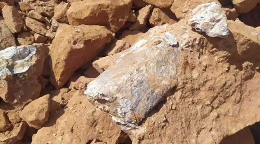 Obra em rodovia revela fósseis de dinossauro no interior de SP