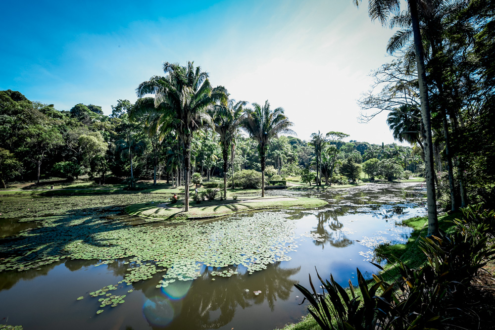 São Paulo 23 outubro 2021Jardim BotanicoFoto Alexandre Battibugli VSP Jardim Botanico Parque São Paulo