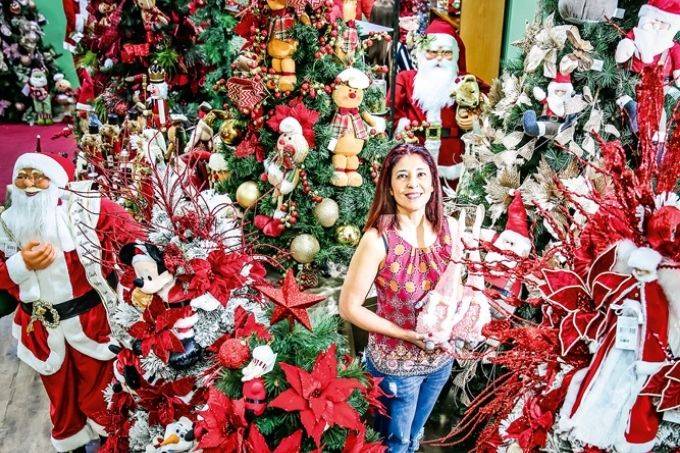 Um novo mercado natalino: empresária investe no aluguel de árvores