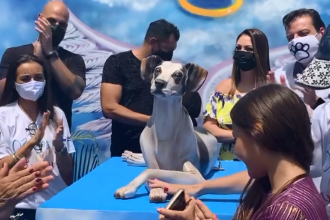 Manchinha, cachorro morto no Carrefour em 2018, ganha monumento