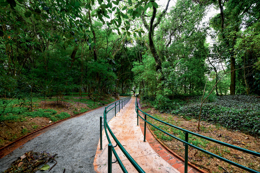 Parque Augusta (Alexandre Battibugli) (2) Passarela com corrimão verde e árvores aparecem na foto.