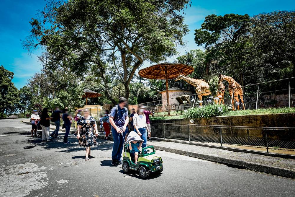 Sob nova gestão, Zoológico de São Paulo terá ingresso pela internet e foodtruck