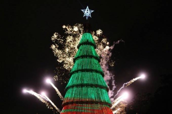 Em vez de uma gigante, Ibirapuera terá circuito de 7 árvores de Natal
