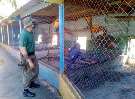 Hotel fazenda é multado em 500 mil por funcionar em terra indígena em SP