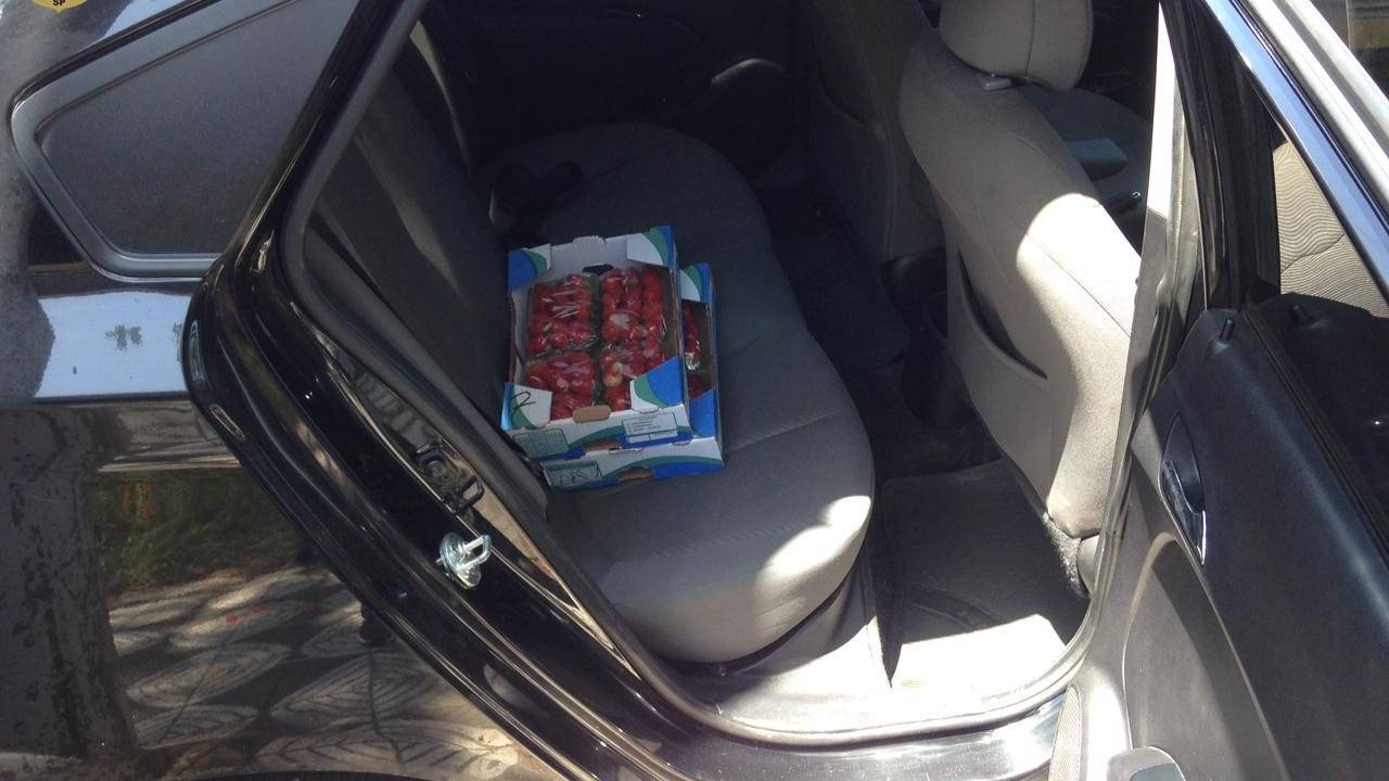 Imagem mostra porta de carro aberta com caixas de morango no banco traseiro