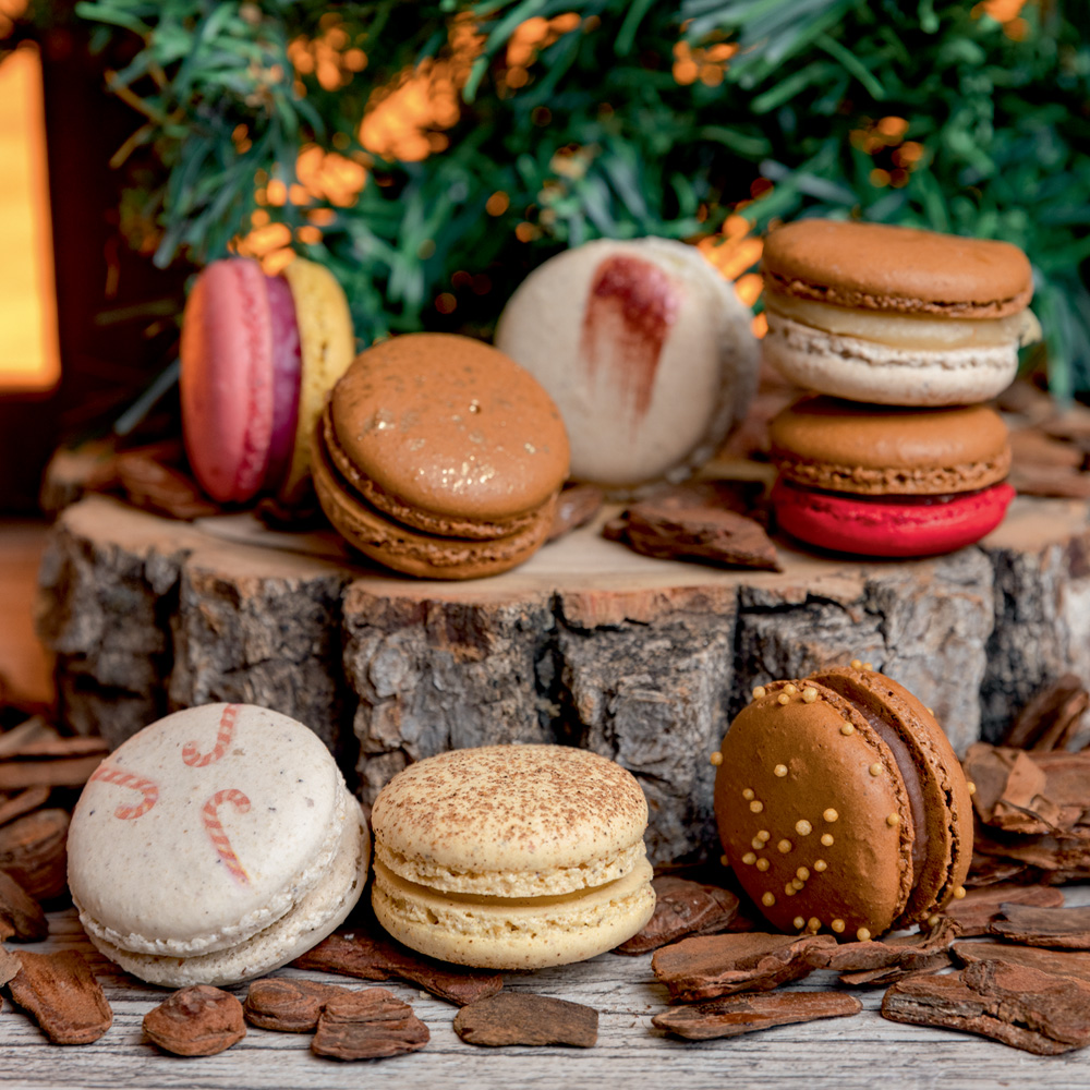 Opera Ganache Macarons sortidos