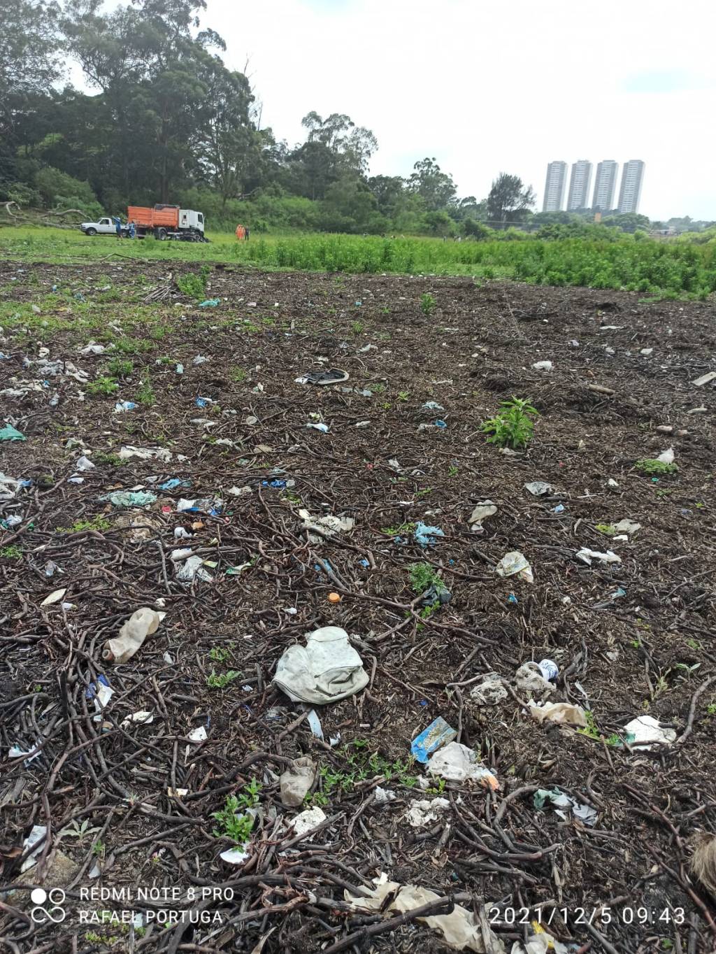 Limpeza Guarapiranga Imagem mostra área gramada coberta por gravetos