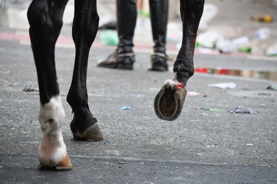 Imagens mostram cavalo ferido e mancando sendo montado por PM; confira