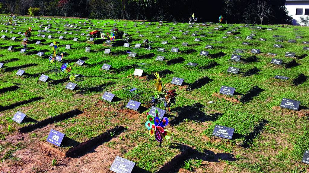 Reino Animal é cemitério e crematório particular para pets em São Paulo