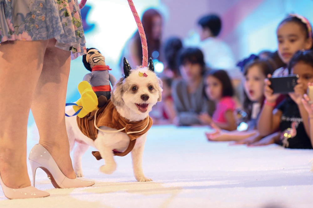 Um cachorrinho branco desfila em uma passarela. Crianças assistem ao desfile e filmam.