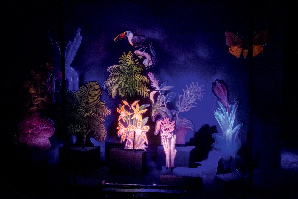 Foto: Renata Teixeira. Site: renatateixeira.site Instalações de plantas e animais iluminadas por luzes coloridas