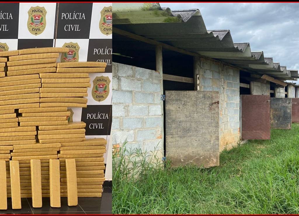 Polícia localiza 167,5 kg de maconha “por acaso” dentro de estábulo
