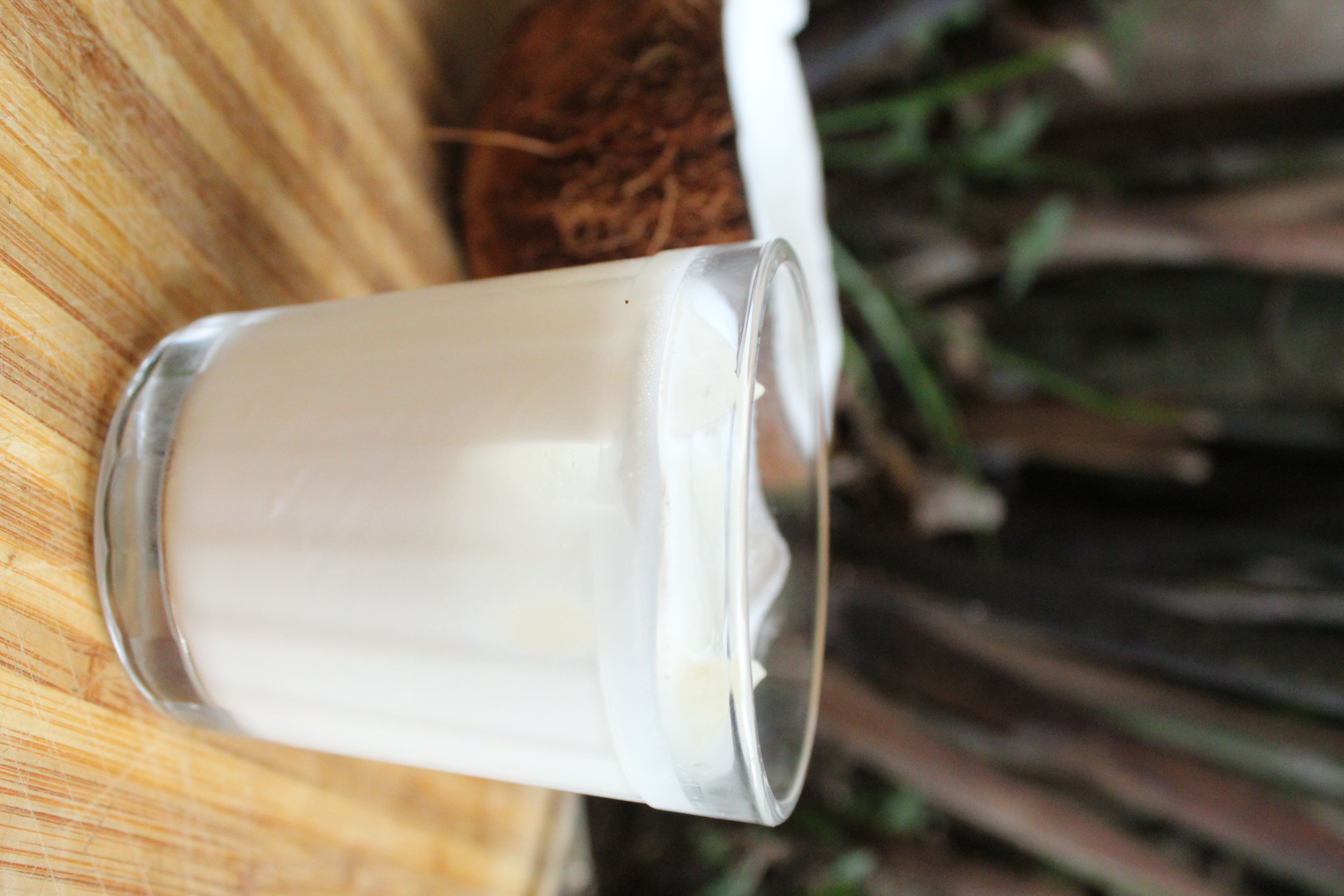 Cocadinha: batida de rum e coco
