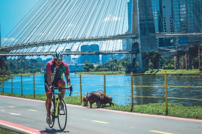 Após projeto de despoluição, margem do Pinheiros ganhará novo parque