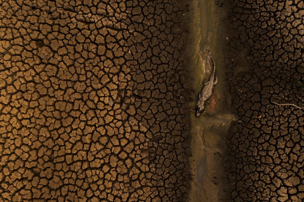 Exposição fotográfica sobre queimadas abre hoje em São Paulo