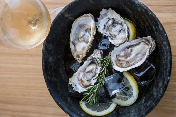 Ostras, coquetéis e vinhos em evento gratuito