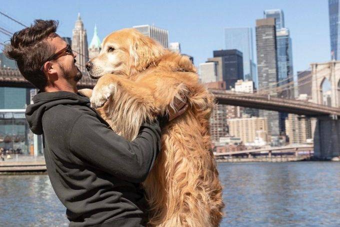 Saiba quem foi Jesse Koz, influencer que viajava com cachorro em um fusca