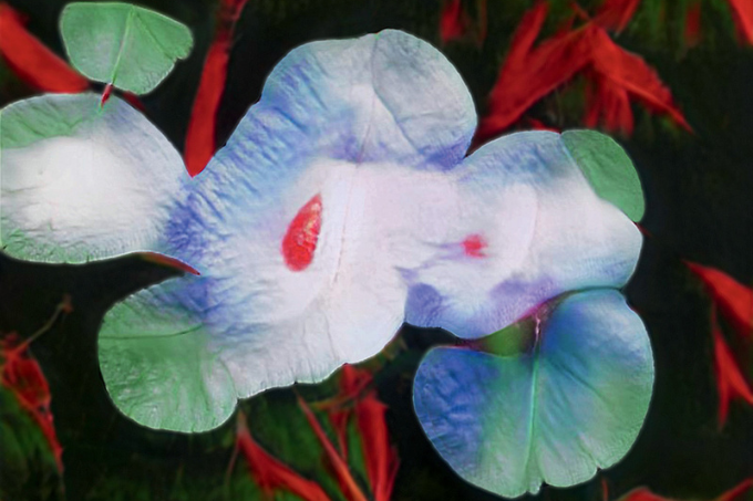 Imagem mostra pintura de flor branca com ramos vermelhos e folhar esverdeadas.