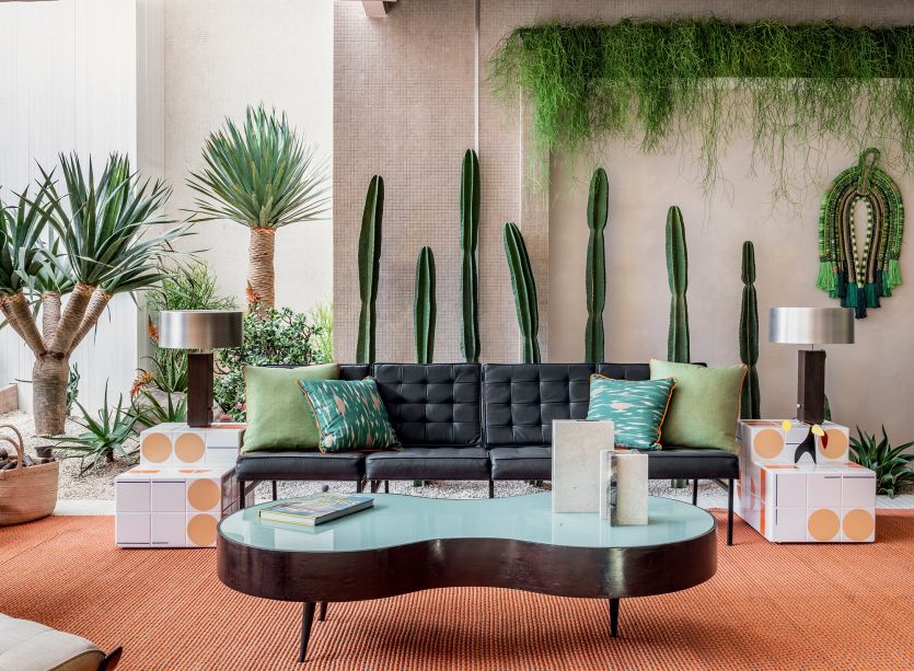 8 plantas que não exigem muito cuidado para ter dentro de casa