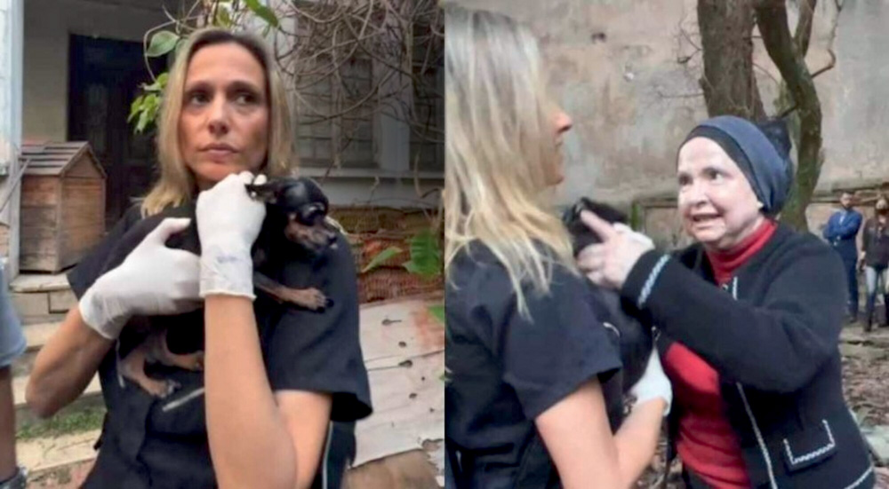 Luísa Mell aparece segurando cachorro que levou da casa onde mora Margarida Bonetti em Higienópolis