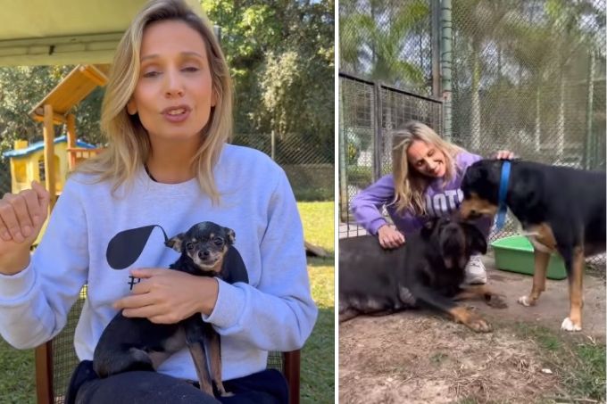 Luisa Mell com cães de Margarida Bonetti, a "mulher da casa abandonada"
