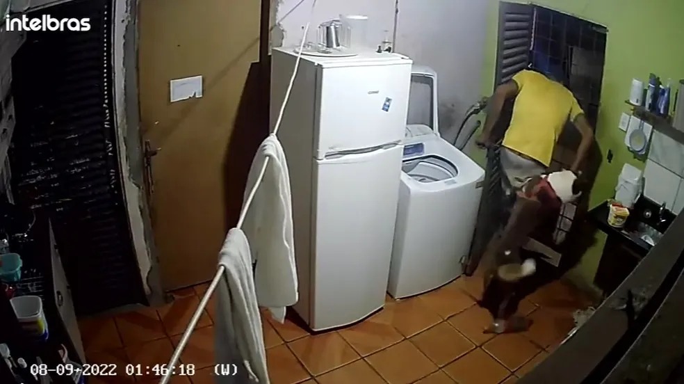 Homem é atacado por cão ao invadir casa e pede socorro aos donos