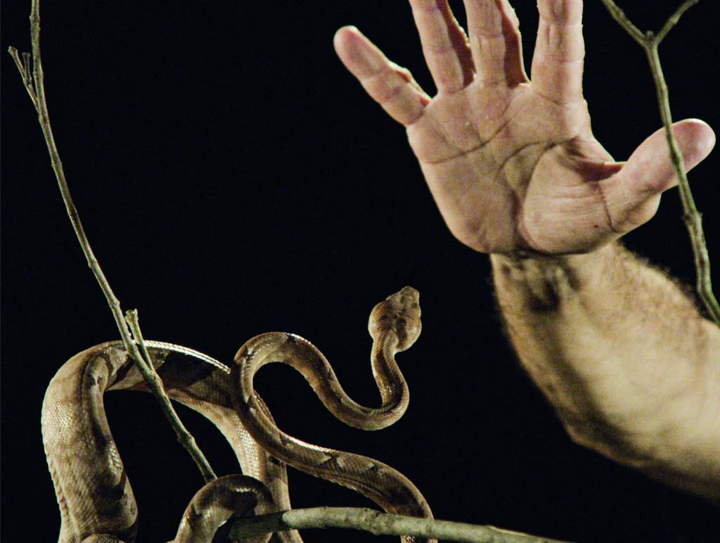 Edifício Pina recebe exposição panorâmica de Jonathas de Andrade