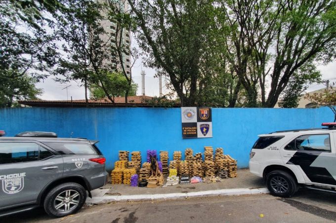 TankPM K9 Tank indicou aos policiais onde estava a droga