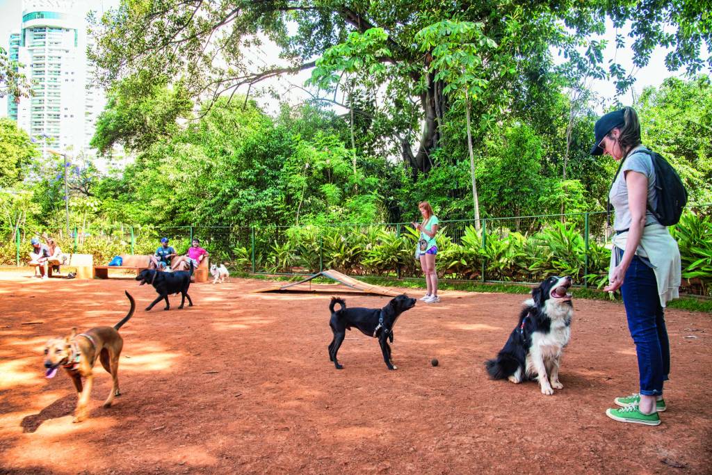 Parque Augusta Cachorródromo